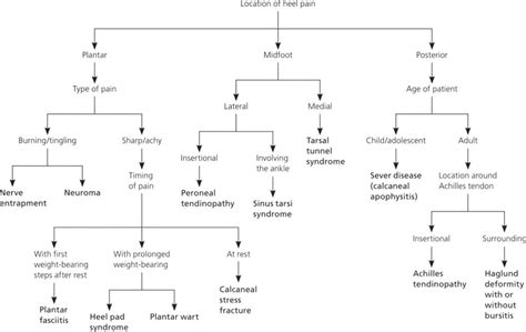 Heel fat pad syndrome causes, symptoms, diagnosis & treatment