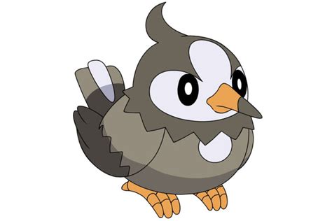 9 Pigeon Based Pokemon - NE Pigeon Supplies