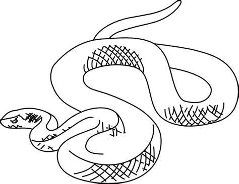 Snake Outline Clip Art at Clker.com - vector clip art online, royalty free & public domain