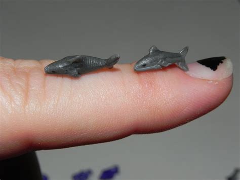 Custom miniature sharks by Secretvixen on DeviantArt