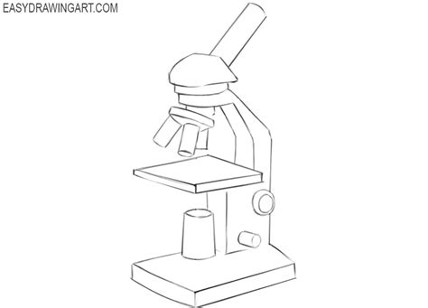 Share more than 81 light microscope sketch super hot - seven.edu.vn