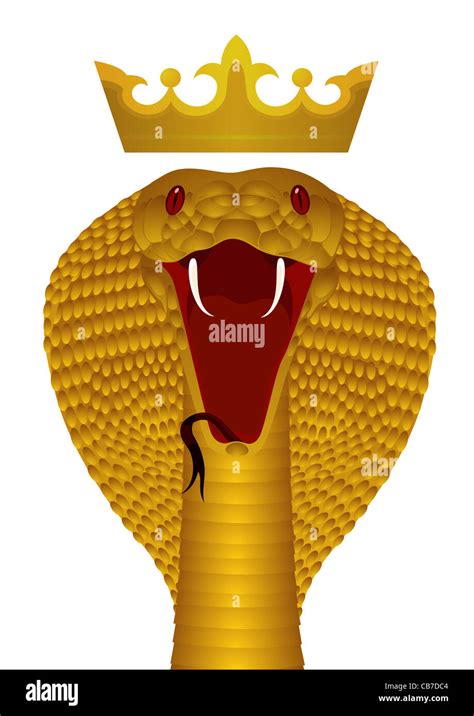 King Cobra Gold Stock Photo - Alamy