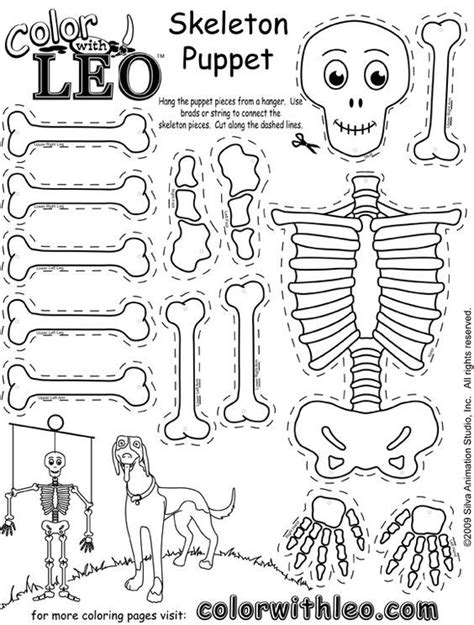 Skeleton Worksheet For Kindergarten