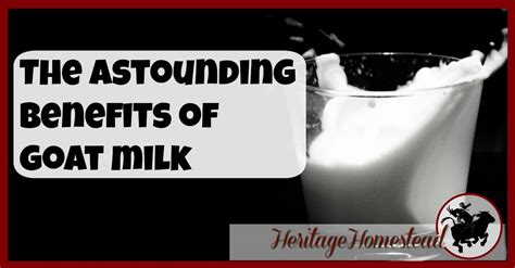 Astounding Benefits of Goat Milk! No really...you NEED this stuff!