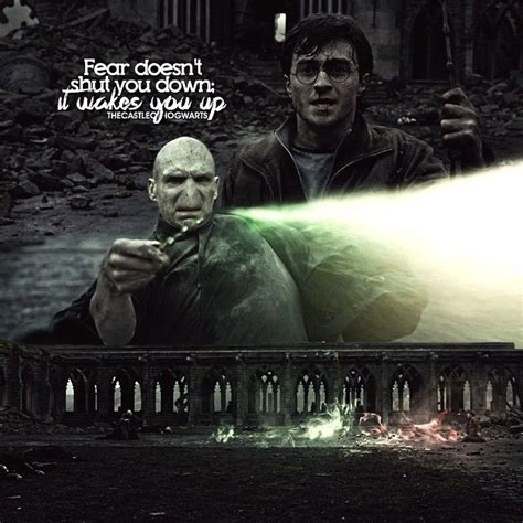 Pin by Nicole Dreibelbis on Harry Potter things | Harry potter artwork, Harry potter, Harry ...