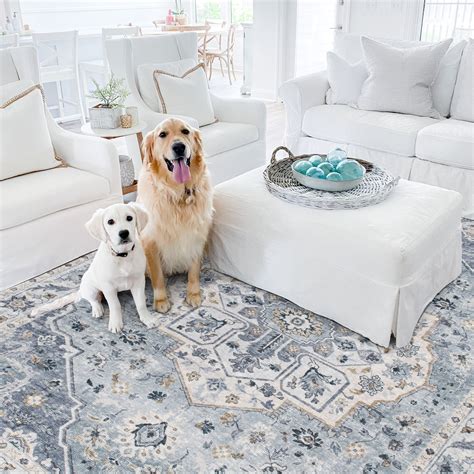 5 Best Pet-Friendly Rugs – Tumble