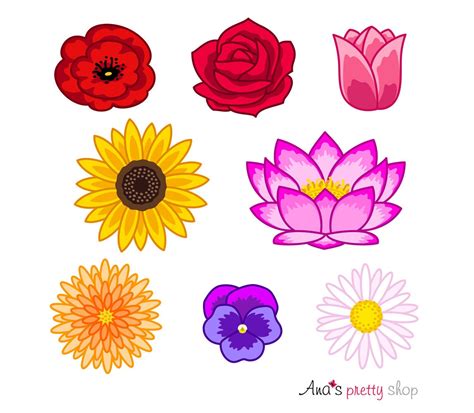 Flowers Clip Art, Flowers Clipart, Colorful Flowers, Flower Heads, Poppy, Rose, Tulip, Sunflower ...