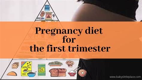 Pregnancy Diet for the First Trimester | Nutrition During Pregnancy