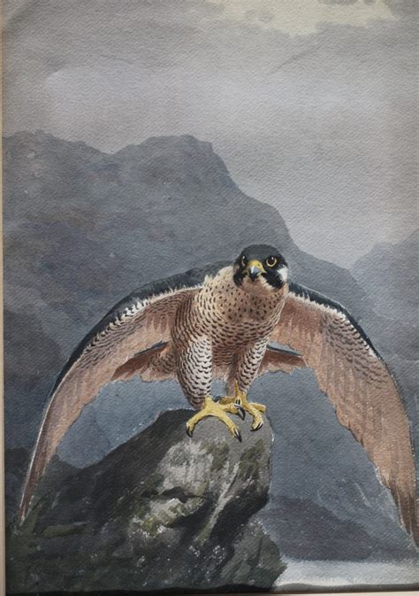 Peregrine John Cyril Harrison | British Sporting Art