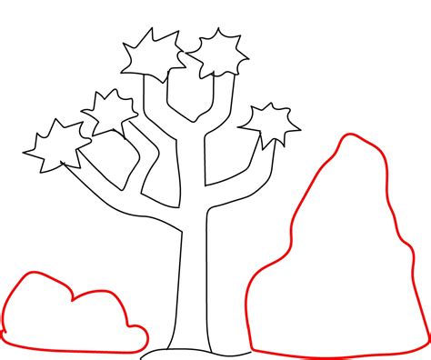 Draw a Joshua tree (U.S. National Park Service)