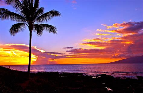 napili bay sunset - Hawaii Pictures