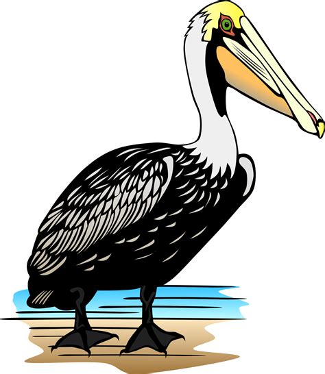 Pelican by Gerald_G | Line art images, Free clip art, Vector drawing