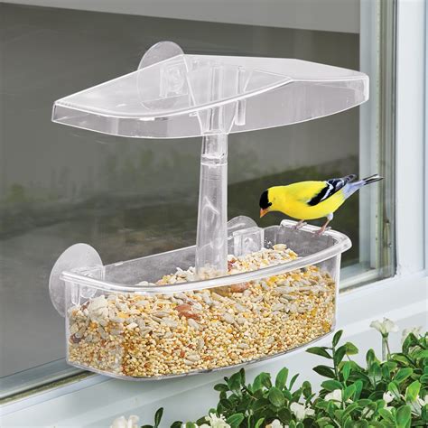 Easy-to-Install Clear Suction Cup Window Bird Feeder | Collections Etc.