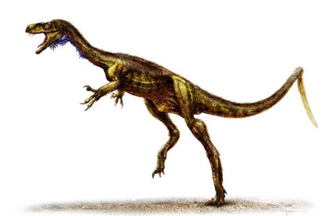 Eodromaeus - Dinosaurs Photo (23911579) - Fanpop