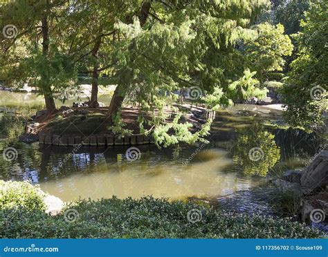 Japanese Garden Pond Used by Families Stock Photo - Image of bush, lake: 117356702