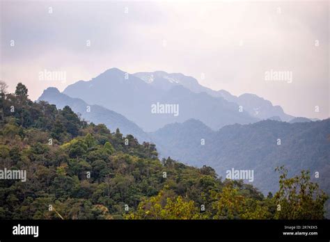 The Dzukou valley (without its famous flowers Stock Photo - Alamy