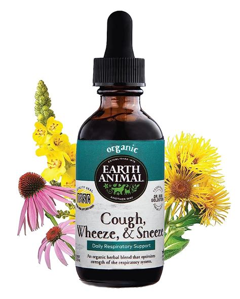 6 Best Cough Relief Products for Dogs