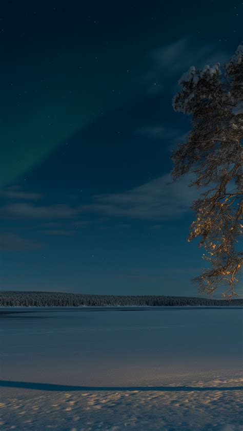 Wallpaper Lapland, Finland, winter, snow, tree, night, northern lights, 5k, Nature #16771