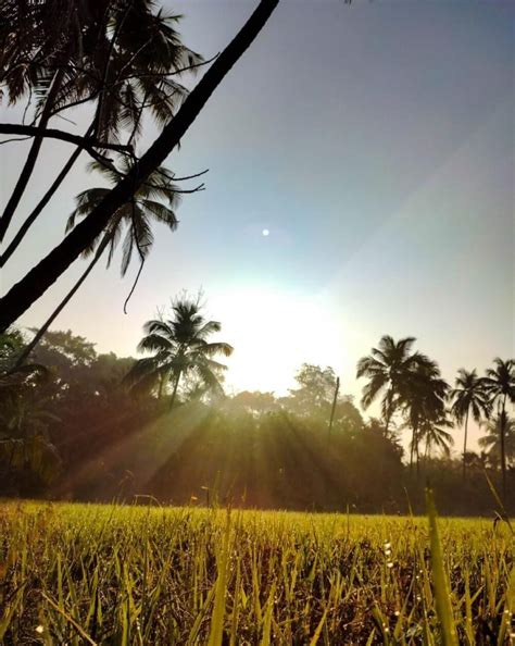 Tulu Nadu India: A Culture Guide By A Local - Stories by Soumya