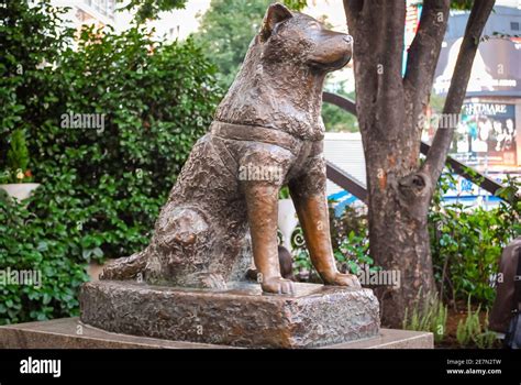 Hachiko statue hi-res stock photography and images - Alamy