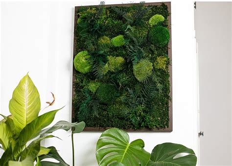 20++ Framed Plant Wall Art - HOMYHOMEE