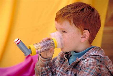 Albuterol Side Effects in Toddlers | Livestrong.com