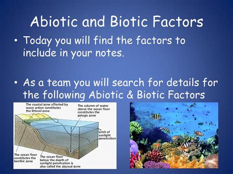 PPT - Ocean Biome PowerPoint Presentation, free download - ID:2335810