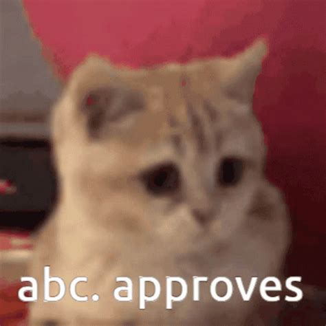 Abc GIF - Abc - Discover & Share GIFs