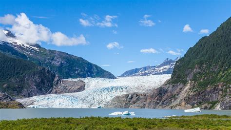 Juneau, Alaska Mendenhall Glacier, Hatchery & Gardens Excursion ...