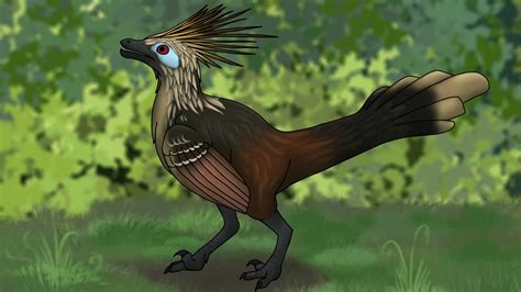 Hoatzin Raptor by Dinosaur-Freak on DeviantArt