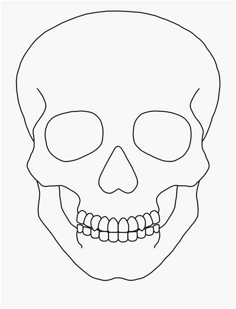 Skull Outline Clip Art - Simple Human Skull Drawing is popular png clipart & cartoon images ...