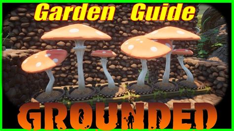 Grounded: Garden Patch All The Info You Need To Know - YouTube