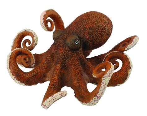 Octopus PNG Images Transparent Free Download | PNGMart.com