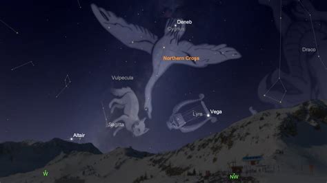 Cygnus The Swan Constellation Seduces Across Ancient Greek, Hindu, and Chinese Mythologies ...