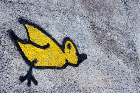 Graffiti street art of lone yellow bird on gray textured wall in Dublin ...