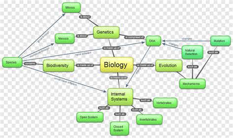 Mapa conceptual biología celular, mapa, Red de computadoras, ángulo png ...