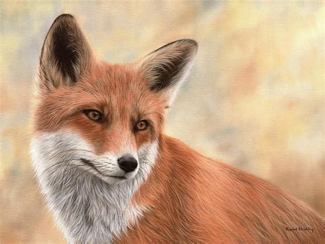 Red Fox Painting Painting by Rachel Stribbling - Pixels