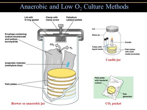 Anaerobic culture methods - Overall Science