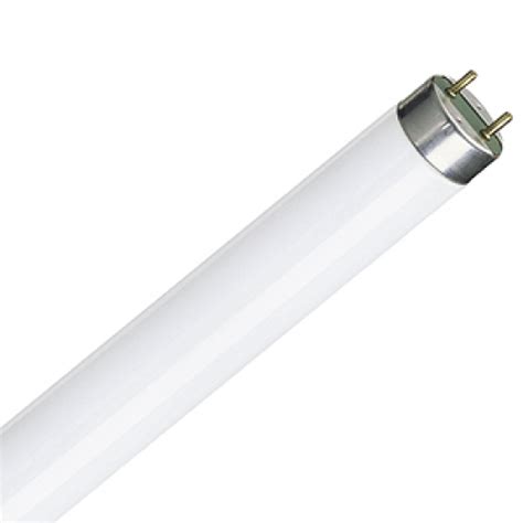 T8 Fluorescent Bulb Wattage