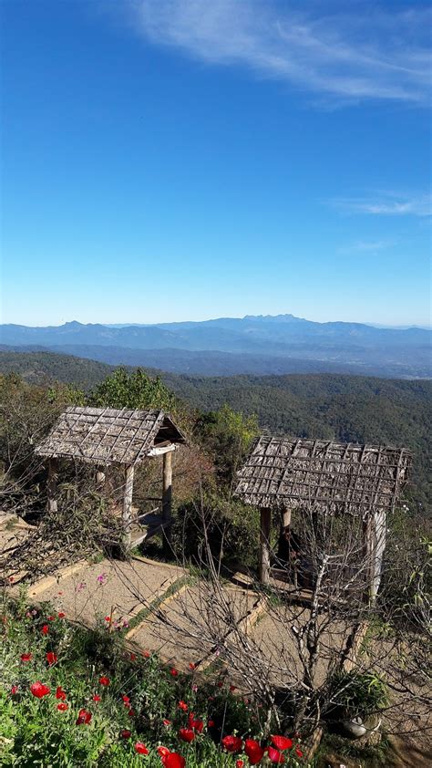 Mountain The North Thailand Chiang - Free photo on Pixabay - Pixabay