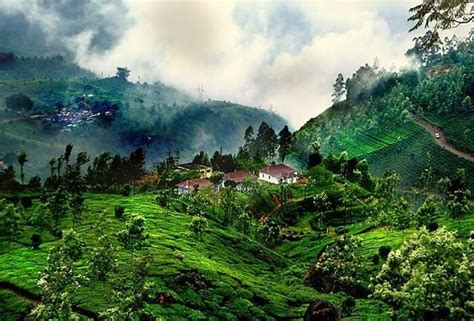 Coorg: The Switzerland of India – Welcome to Traveling To World: The ...