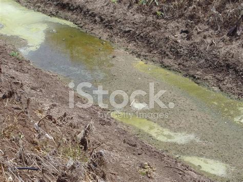 Agricultural Water Pollution Stock Photo | Royalty-Free | FreeImages