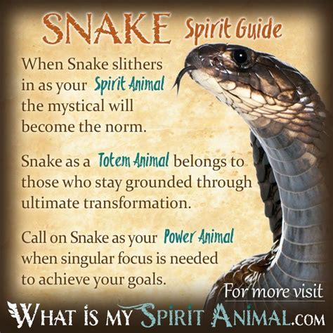 Snake Symbolism & Meaning | Spirit, Totem & Power Animal