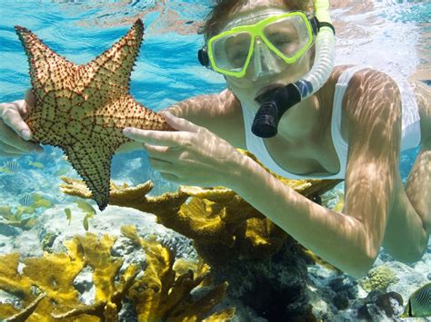 Wisata Bali - *PROMO* Menjangan Snorkeling Hanya Rp 500.000