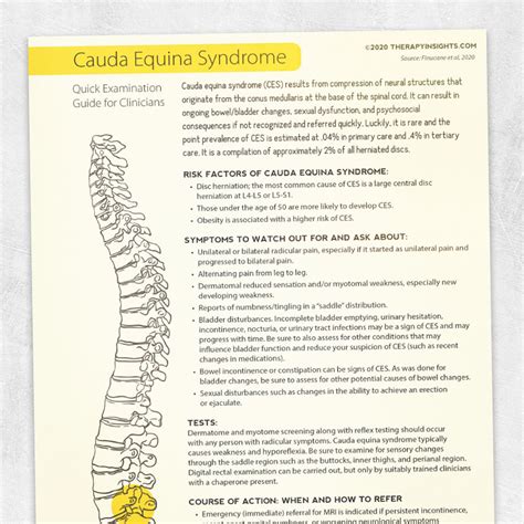 Cauda Equina Syndrome Symptoms