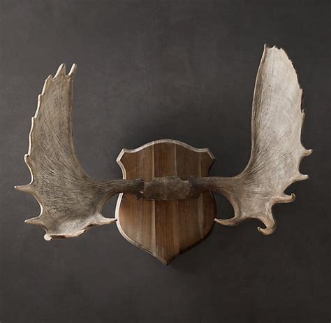 Moose Antlers for above the fireplace. | Moose antlers, Antlers, Antler art