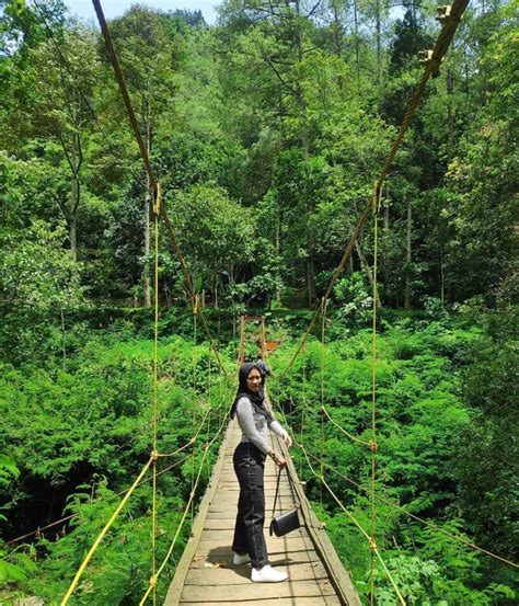 Wisata Taman Hutan Raya Djuanda Bandung terbaru - Sering Jalan