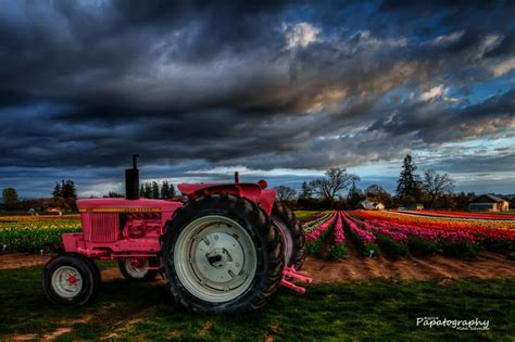 17 Best images about Pink tractors on Pinterest | Ford models, John ...