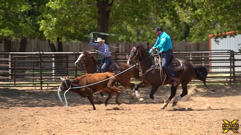 First Run in the Practice Pen on a Cow Bred Horse with Paden Bray and Marty Becker | X Factor Roping