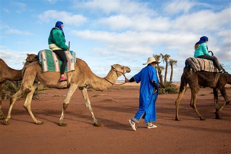 Camel Rides in Marrakech - 2021 Travel Recommendations | Tours, Trips & Tickets | Viator